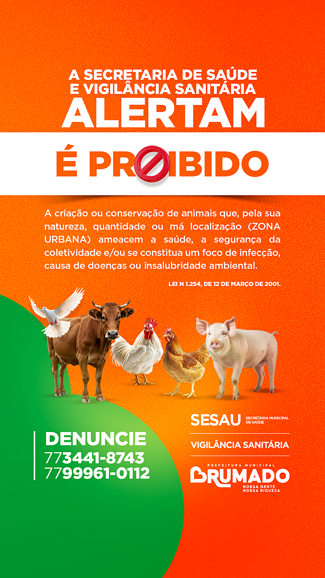 Secretaria de Saúde e Vigilância Sanitária alertam sobre proibição da criação de animais em zona urbana
