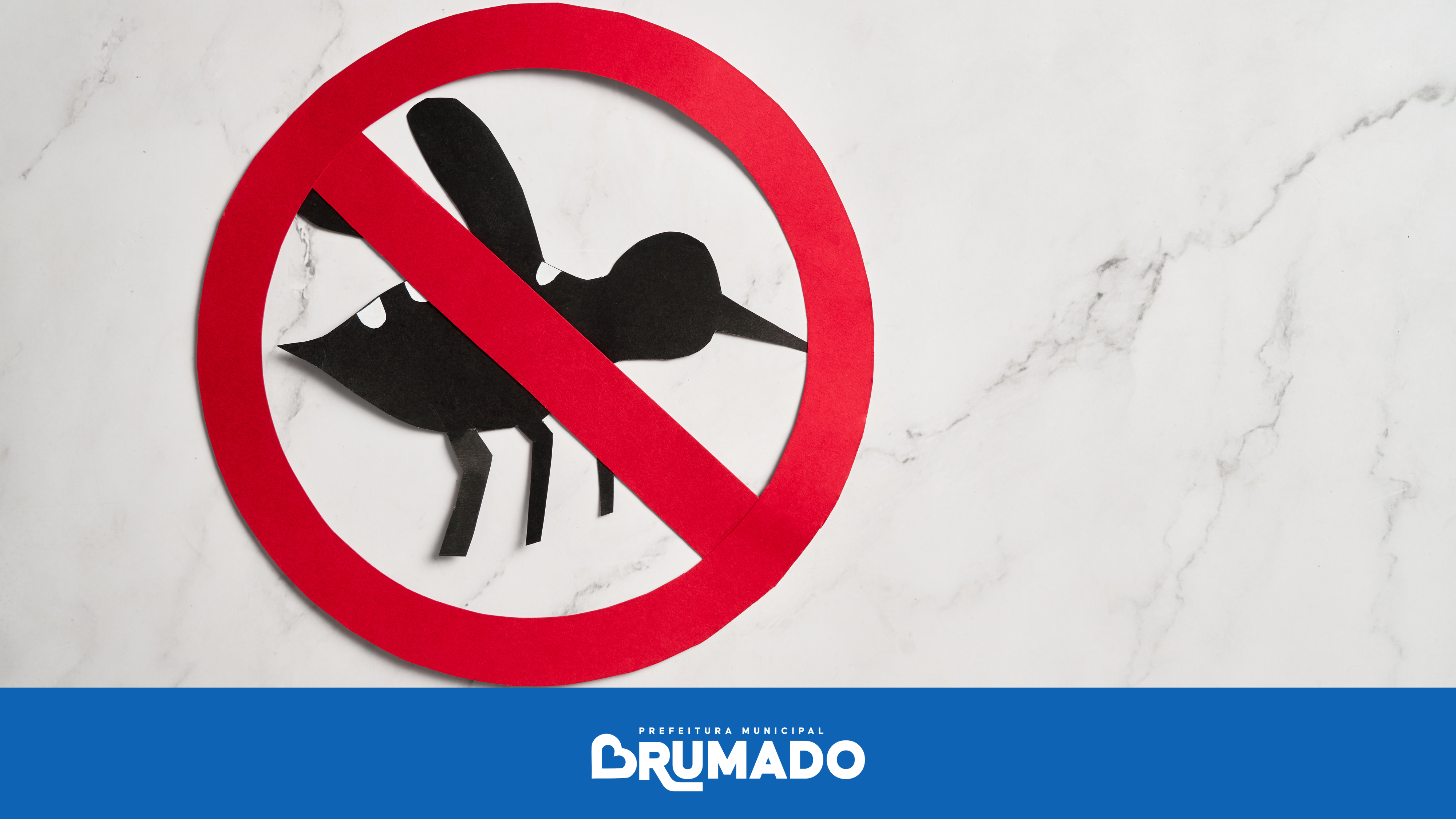 Com redução contínua, Brumado inicia 2026 sem casos confirmados de Dengue