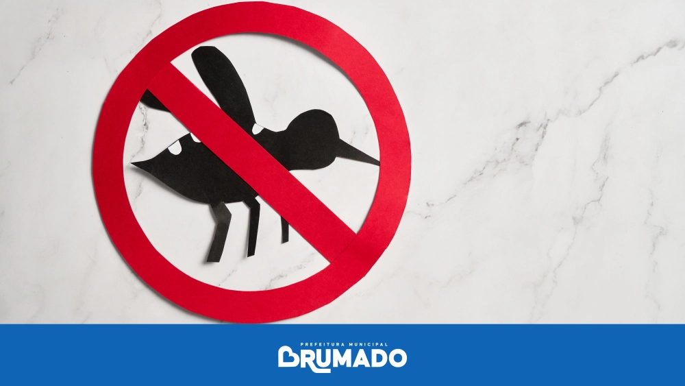 Com redução contínua, Brumado inicia 2026 sem casos confirmados de Dengue